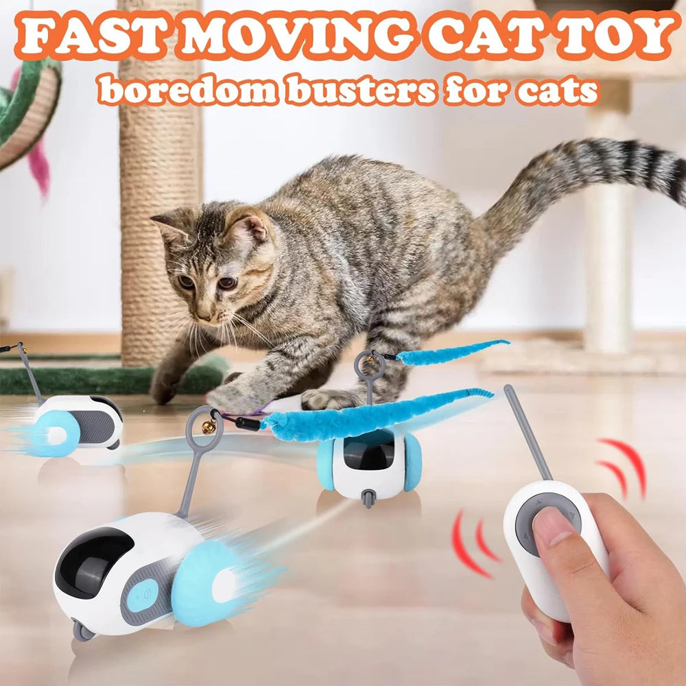 Smart Pet Chase Car