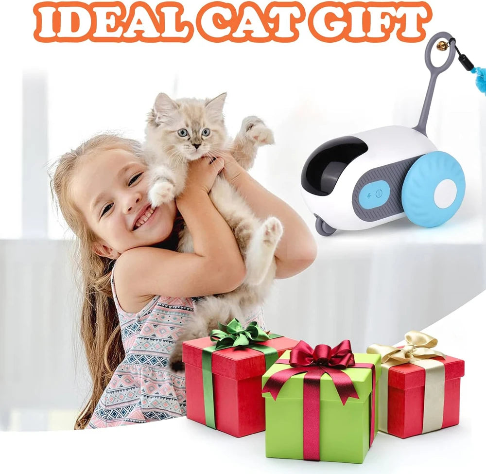 Smart Pet Chase Car