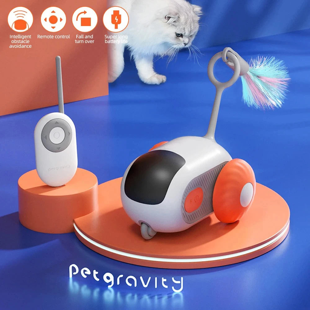 Smart Pet Chase Car