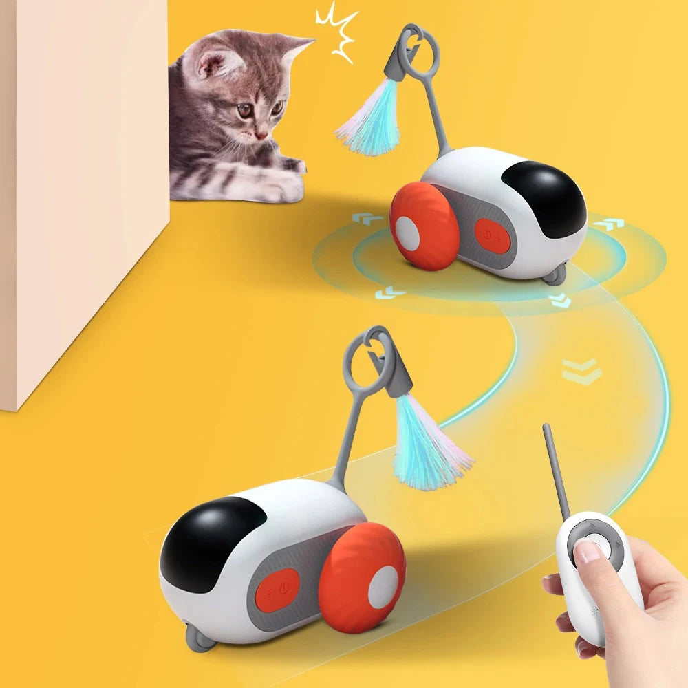 Smart Pet Chase Car