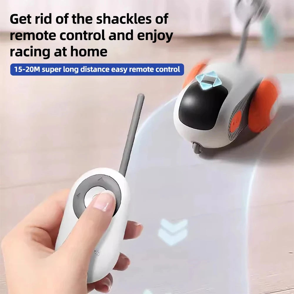 Smart Pet Chase Car