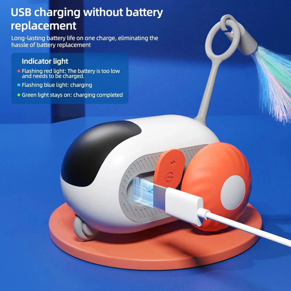 Smart Pet Chase Car