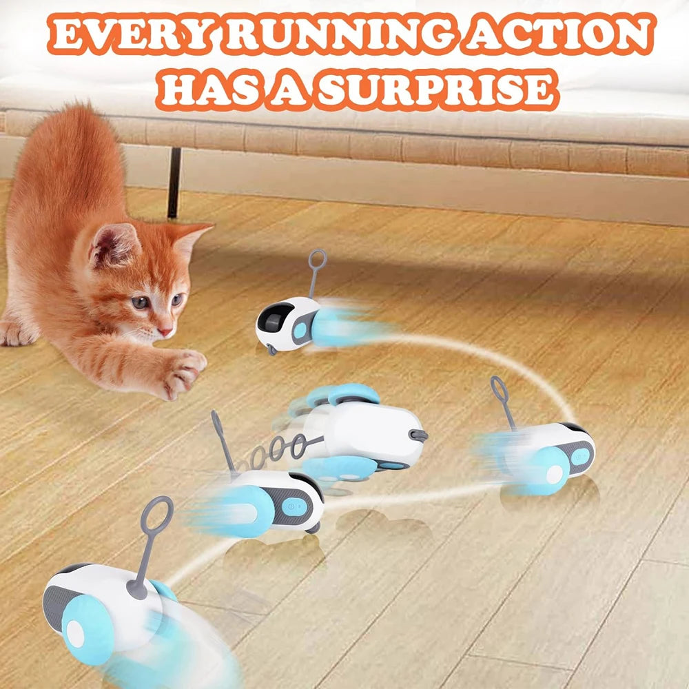 Smart Pet Chase Car