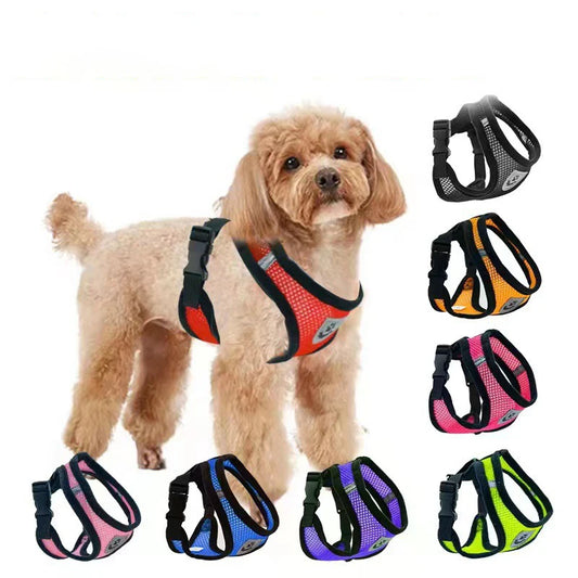 Comfort Fit Pet Harness
