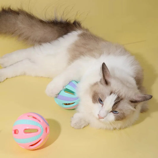 Ultimate Indoor Cat Play Set