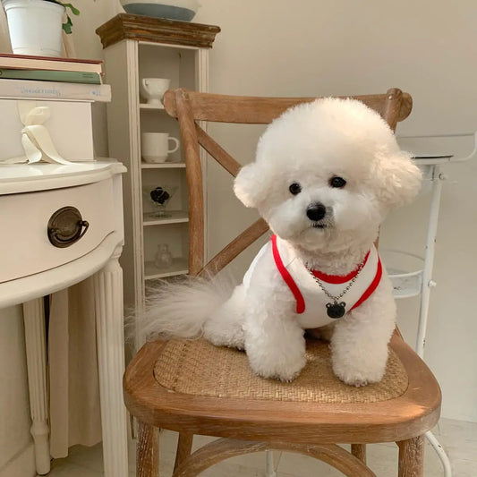 Fruit Breeze Pet Vest