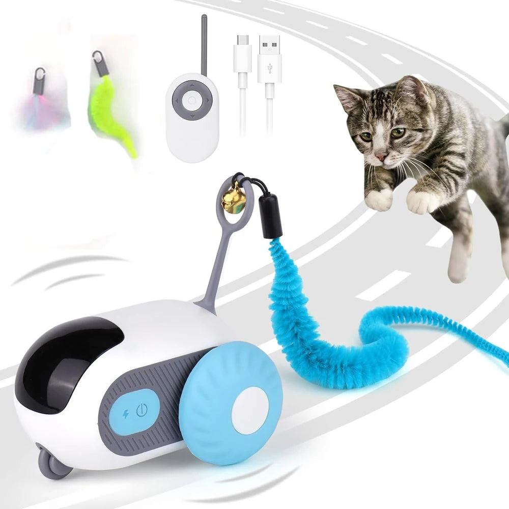 Smart Pet Chase Car