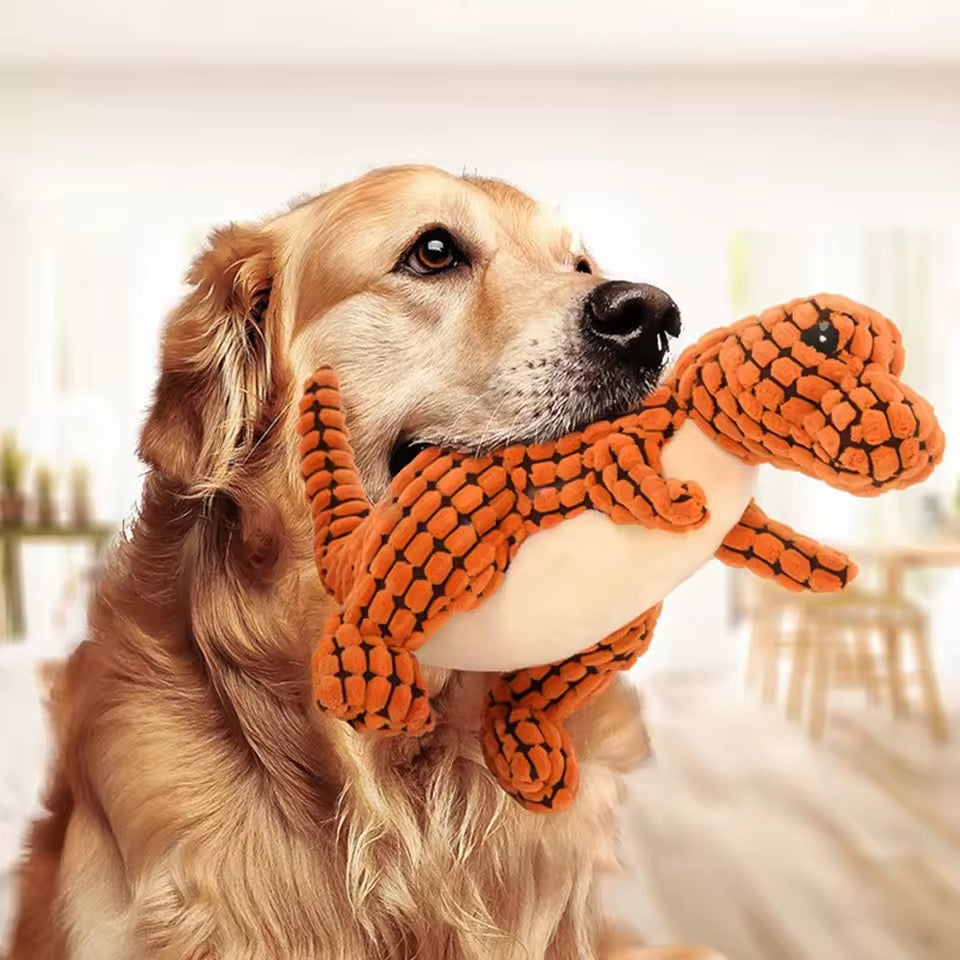Dog Toys & Enrichment