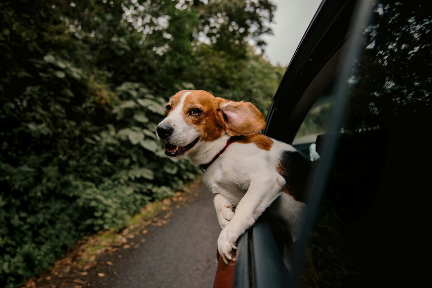 Travel & Adventure