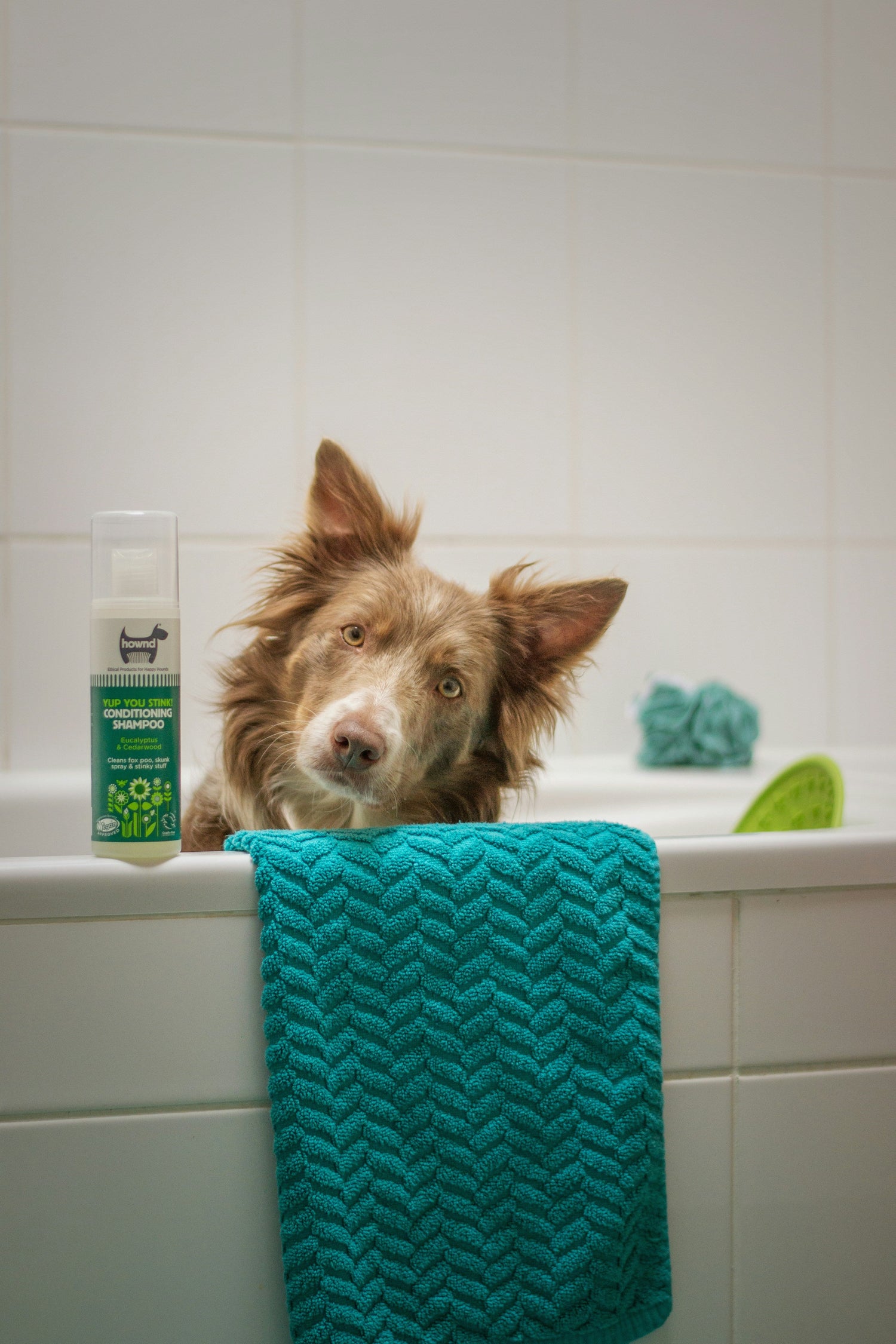 Grooming & Care