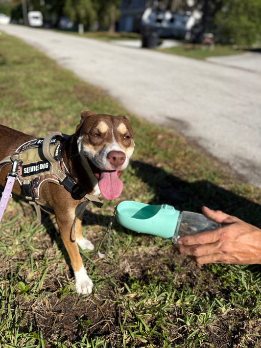 Petfinity™ Premium Leak-Proof Portable Travel Dog Bottle
