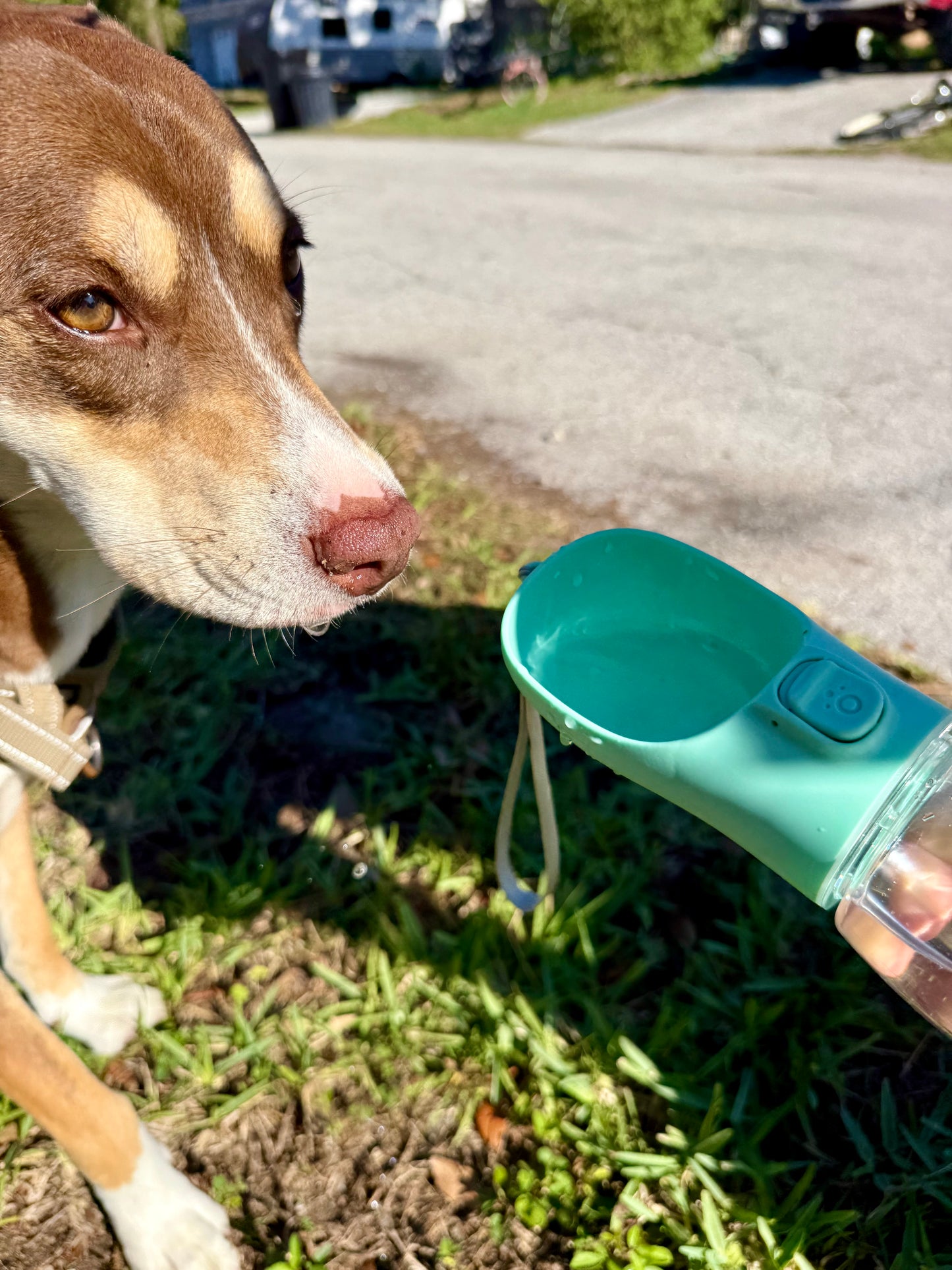 Petfinity™ Premium Leak-Proof Portable Travel Dog Bottle