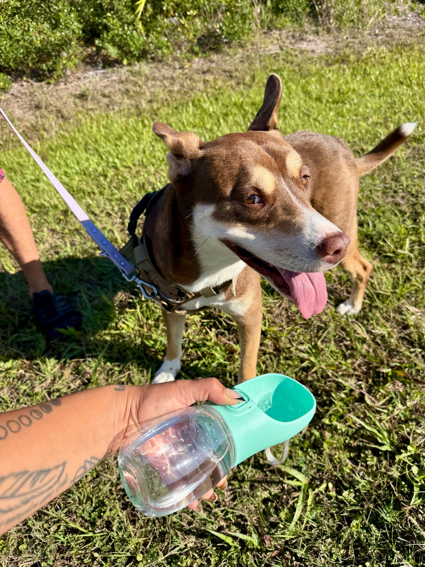 Petfinity™ Premium Leak-Proof Portable Travel Dog Bottle