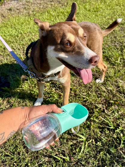 Portable Dog Water Bottle