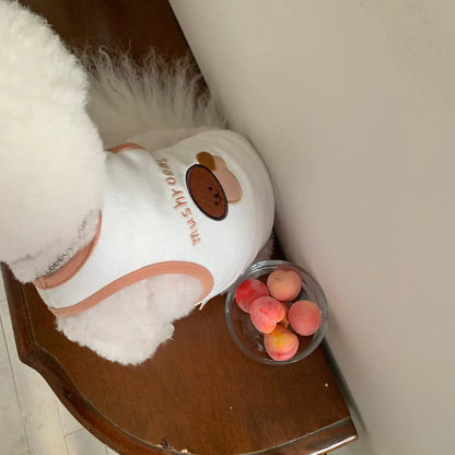 Fruit Breeze Pet Vest