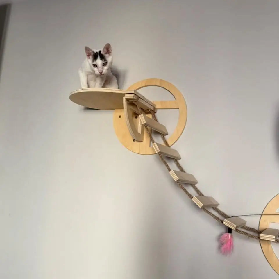 Wall-Mounted Cat Adventure Tree