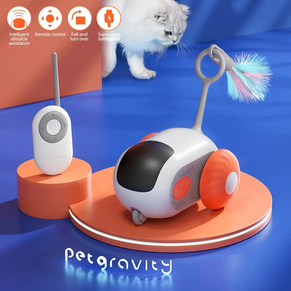 Smart Pet Chase Car