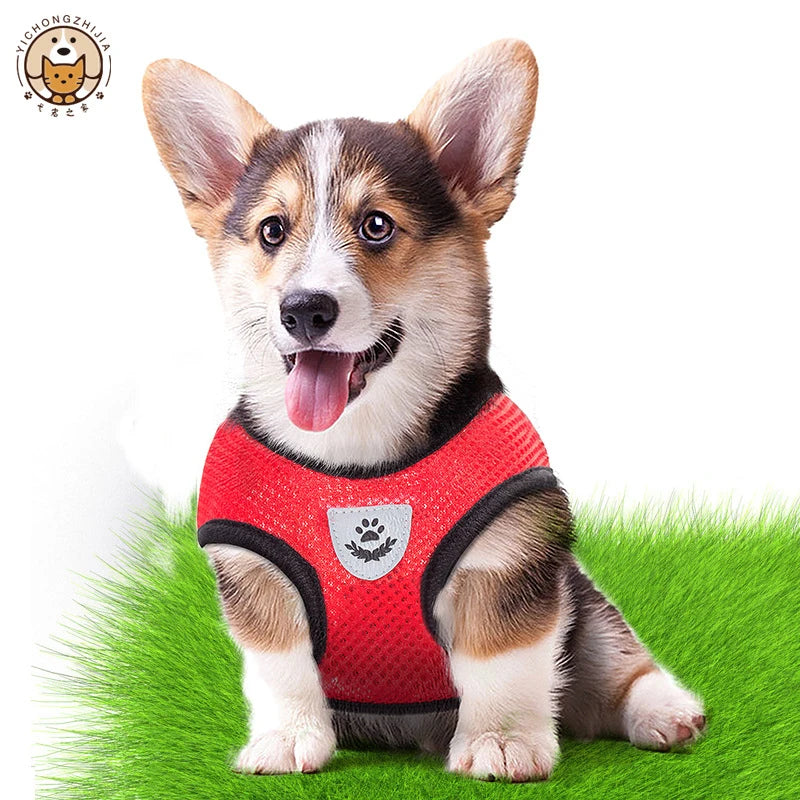 Comfort Fit Pet Harness