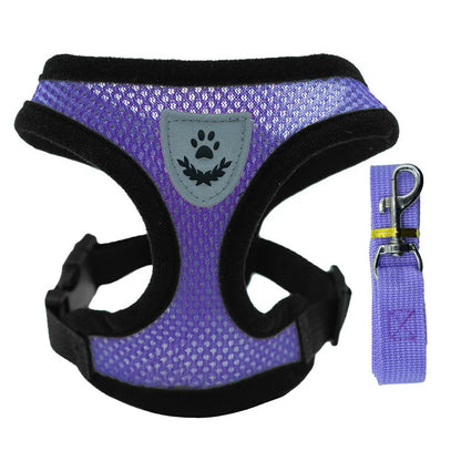 Comfort Fit Pet Harness