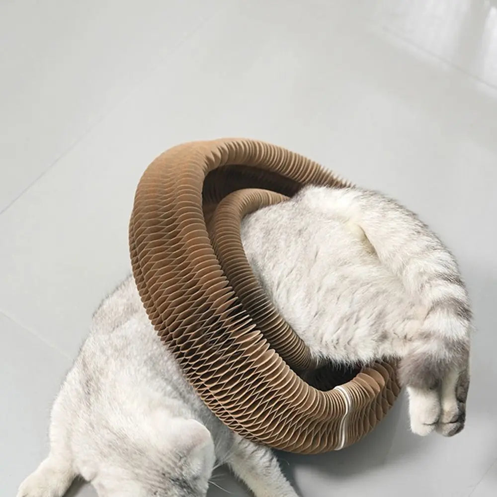 Rolling Kitty Curlz Toy