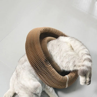 Rolling Kitty Curlz Toy