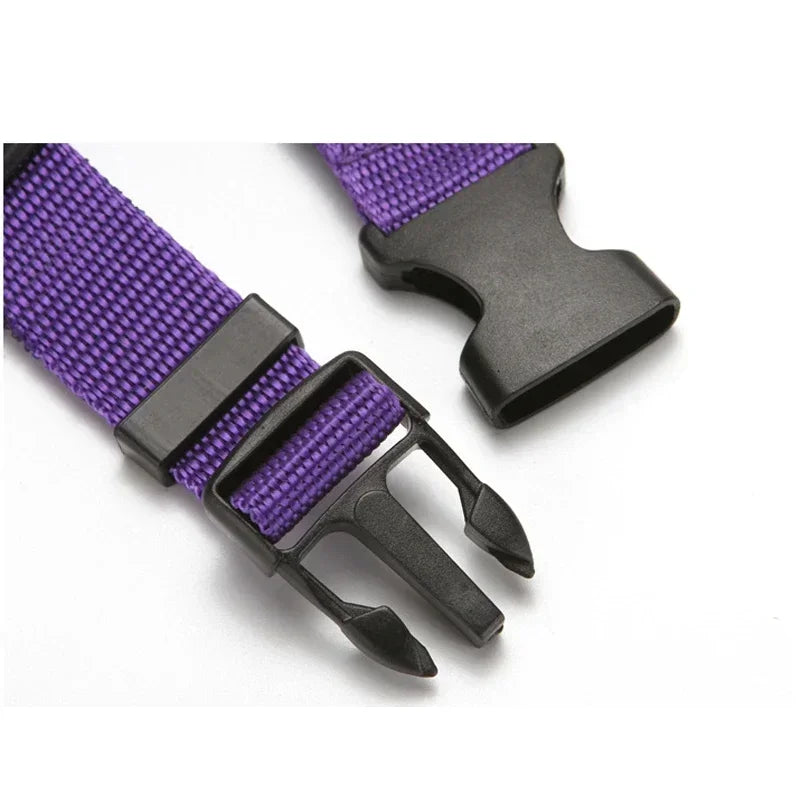 Pet Car Safety Belt