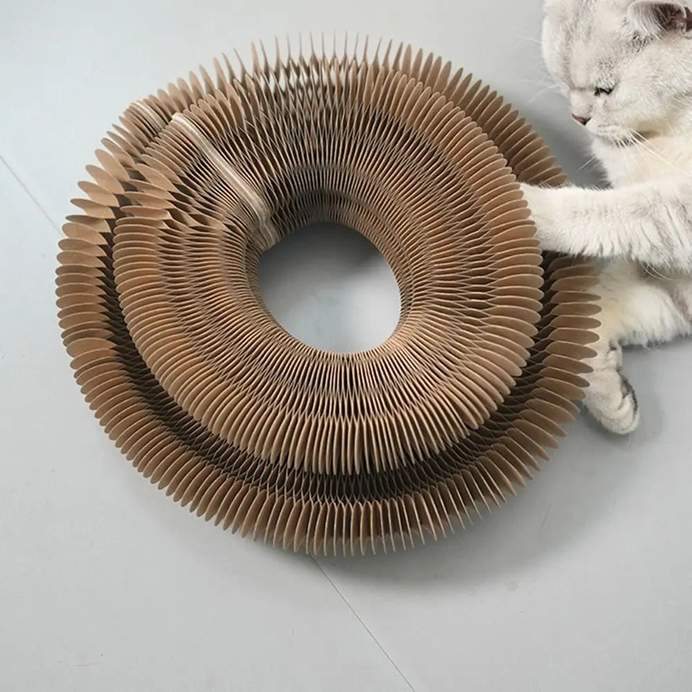 Rolling Kitty Curlz Toy