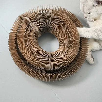 Rolling Kitty Curlz Toy
