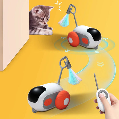Smart Pet Chase Car