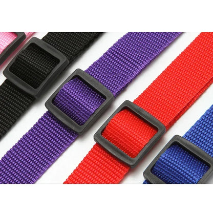 Pet Car Safety Belt