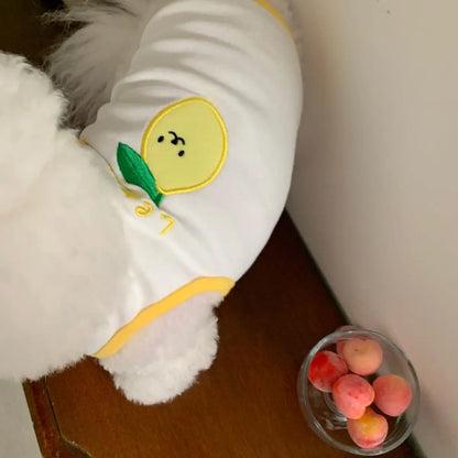 Fruit Breeze Pet Vest