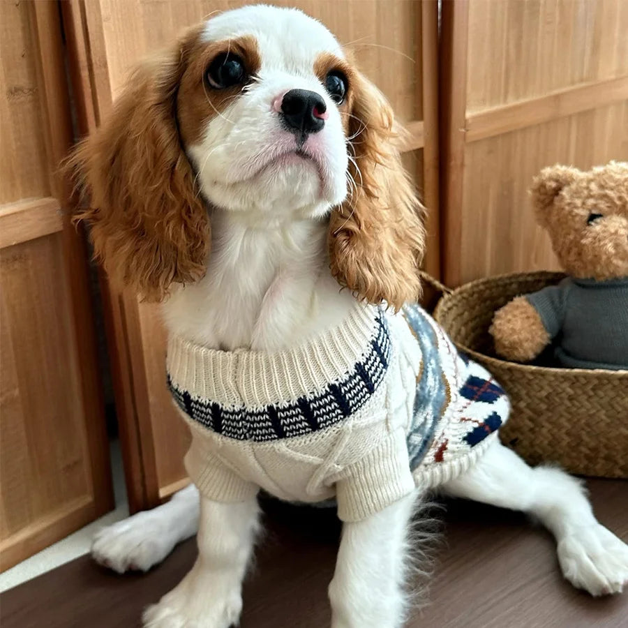 Cozy Knit Pet Turtleneck