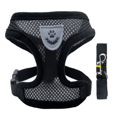 Comfort Fit Pet Harness