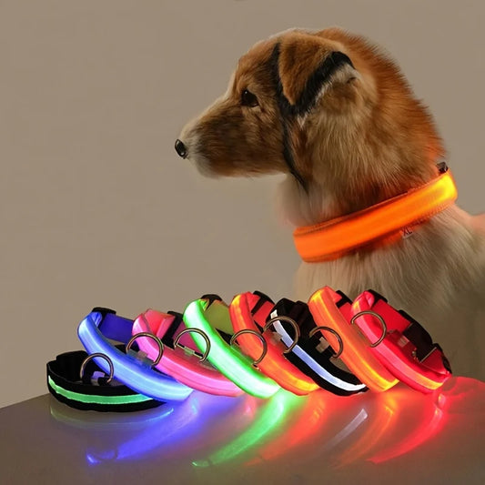 GlowGuard LED Safety Leash