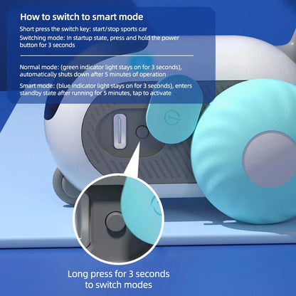 Smart Pet Chase Car