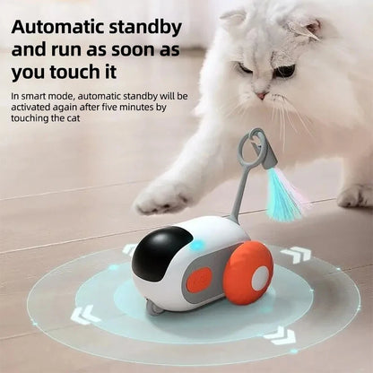 Smart Pet Chase Car