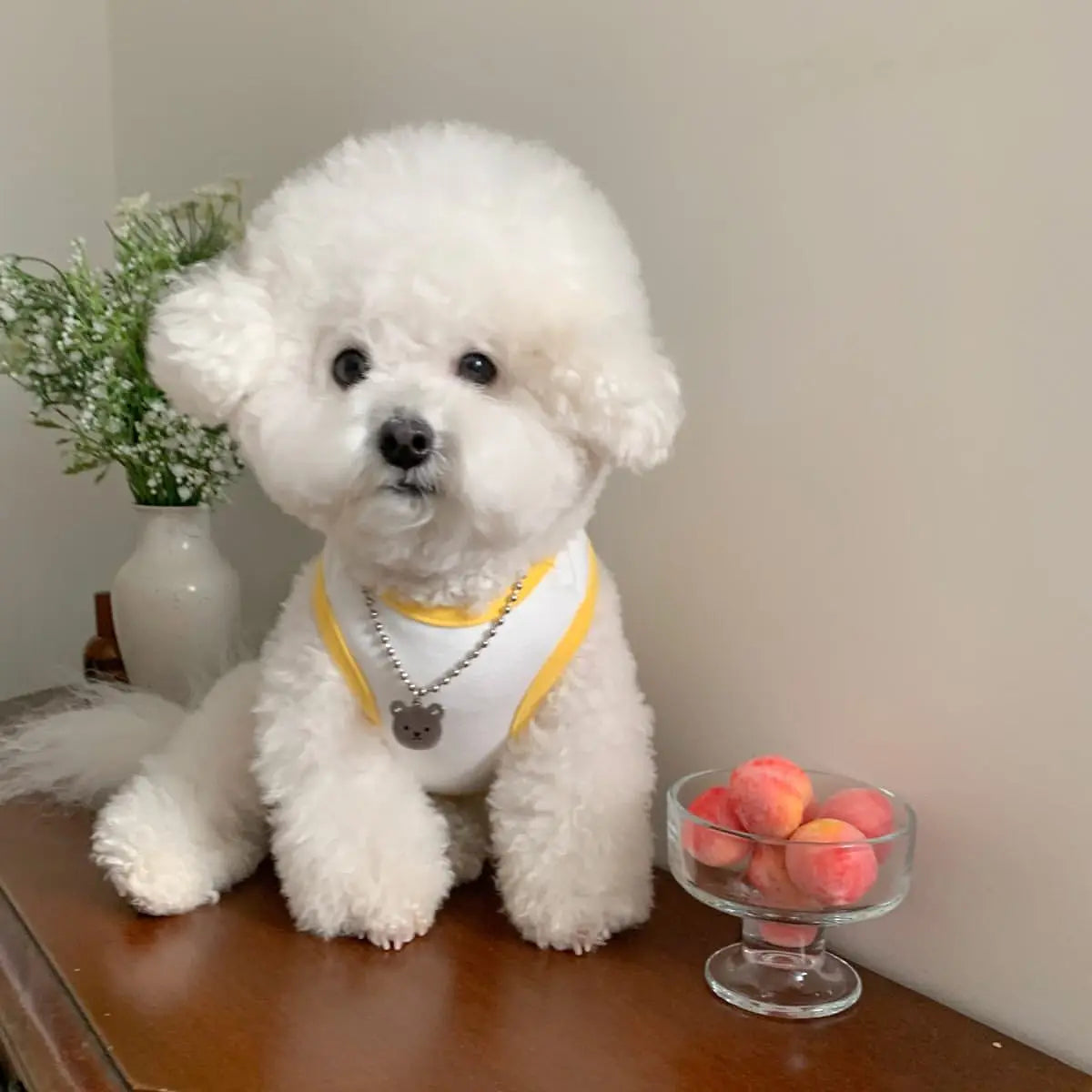 Fruit Breeze Pet Vest