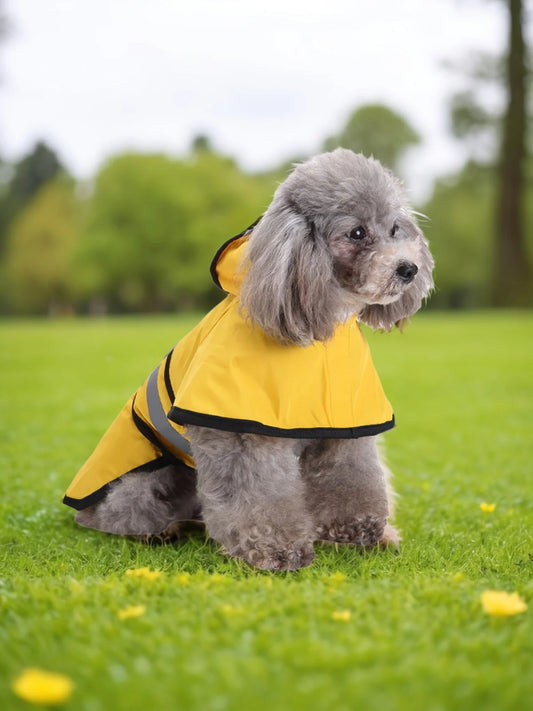 Petfinity™ Premium All-Weather Waterproof Dog Raincoat