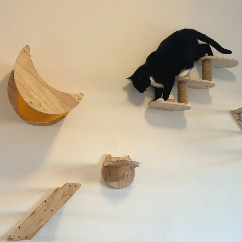 Wall-Mounted Cat Adventure Tree