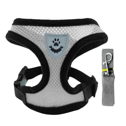 Comfort Fit Pet Harness