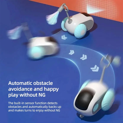 Smart Pet Chase Car