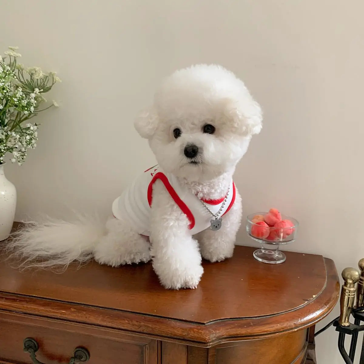 Fruit Breeze Pet Vest