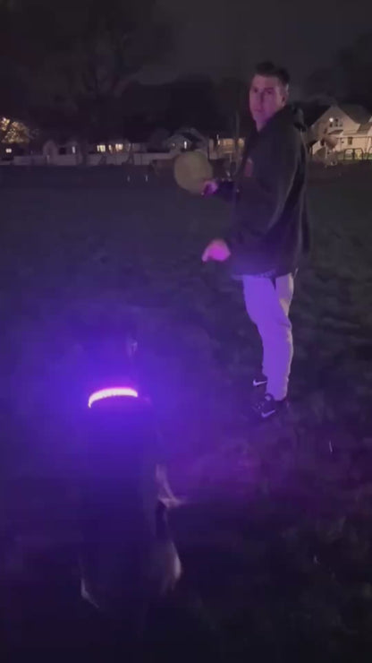 LED Safety Collar & Tracker