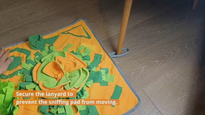 Foraging Snuffle Mat